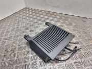 Tonverstärker VOLVO V70 III (BW) D3 / D4 31310010