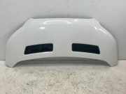 Motorhaube FORD TRANSIT 2.0 TDCi TKK31-A16612-AA