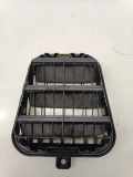 Ziergitter Audi Q2 (GA) 4G9819181