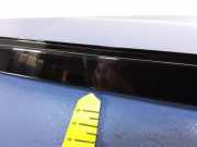 Zierleiste BMW X7 (G07) 7429411