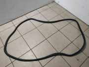 Türdichtung BMW 3er Touring (F31) 7263092