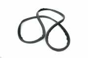 Türgummi rechts hinten Land Rover Discovery Sport (L550) FK72253A10A