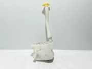 Fensterwaschtank RENAULT MASTER III Furgon (FV) 2.3 dCi 135 FWD 2891000023R