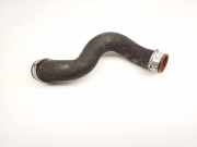 Wasserkühlerschlauch rechts