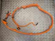 Kabelbaum Hyundai Ioniq (AE) 91875G2021