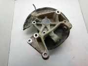 Radlagergehäuse rechts hinten Skoda Yeti (5L)