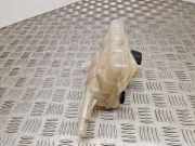 Ausgleichsbehälter RENAULT ESPACE V (JR_) 1.6 dCi 160 217104048R