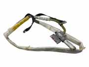 SRS Modul Dach links BMW X5 (E53) 4.8 is 1665489