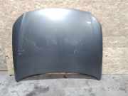 Motorhaube VW Passat B6 (3C2)