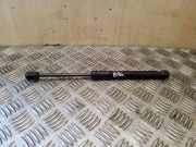 Heckklappe Gasdruckfeder links AUDI A5 (F53) S5 quattro 8F0827550A