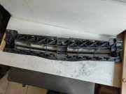 Vorderer oberer Gitter RENAULT TRAFIC II Furgon (FL) 2.0 dCi 90 (FL0H) 93859530 620300102R