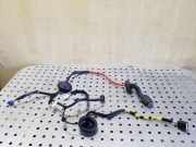 Kabel Tür Kia Soul II (PS) 91620J2100