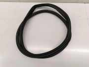 Dichtungsgummi der hinteren Tür (an der Karosserie) BMW 2 Gran Coupe (F44) 220d