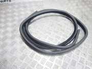 Türdichtung Land Rover Range Rover III (L322)