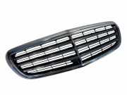 Vorderer oberer Gitter MERCEDES-BENZ E (W213) E 220 d (213.004) A2138808702