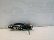 Türaußengriff hinten links