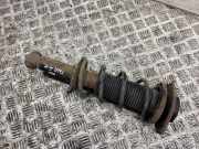 Stoßdämpfer hinten links TOYOTA GT 86 Coupe (ZN6_) 2.0 GT (ZN6AC_, ZN6BC_) 20365CA100