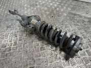 Stoßdämpfer vorne links BMW 6 Cabrio (F12) 650 i 6798405