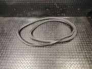 Türgummi rechts vorne Audi A8 (4E)