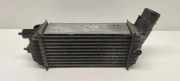 Ladeluftkühler Citroen DS5 () 9674720580