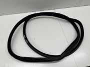 Türdichtung Mercedes-Benz S-Klasse (W222)