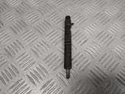 Einspritzdüse RENAULT SCÉNIC II (JM0/1_) 1.9 dCi (JM0G, JM12, JM1G, JM2C) 8200421359