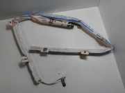 SRS Modul Dach links BMW 5 (F10) 530 d 914341709