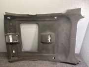 Dachverkleidung BMW X6 (F16, F86) xDrive 30 d 206483PA