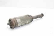 Pneumatischer Stoßdämpfer vorne links LAND ROVER RANGE ROVER SPORT (L320) 3.0 D 4x4 5H32-18B036-BB