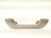 Griff Panoramadach Renault Zoe (BFM)