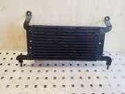 Kraftstoffkühler Peugeot 3008 I ()