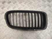 Vorderer oberer Gitter BMW 3 (F30, F80) 320 d Efficient Dynamics 51137255412 7255412