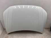 Motorhaube VW TIGUAN (AD1) 1.4 TSI