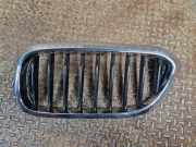Gitter BMW 5 (G30) 540 i xDrive 7473700
