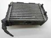 Ladeluftkühler VW Passat B5.5 (3B3) 059145805