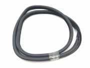 Türdichtung Land Rover Range Rover Evoque I (L538)