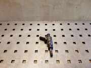 Einspritzdüse VW EOS (1F7, 1F8) 2.0 TSI 0261500076 06H906036G