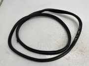 Türdichtung Mercedes-Benz A-Klasse (W176)