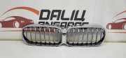 Vorderer oberer Gitter BMW 5 Touring (G31) 520 d 18517811
