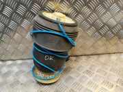 Stoßdämpfer rechts hinten BMW X5 (E70) 6776995