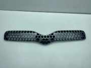 Gitter TOYOTA YARIS (_P1_) 1.4 D-4D (NLP10_) 53101