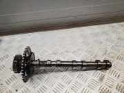 Einlassnockenwelle JEEP GRAND CHEROKEE IV (WK, WK2) 3.0 CRD V6 4x4 20182105F