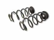 Schraubenfeder hinten links VW POLO (AW1, BZ1, AE1) 2.0 GTI 2Q0511121EC