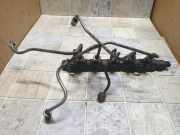 Kraftstoffzuführung TOYOTA AVENSIS VERSO (_M2_) 2.0 D (CLM20_) 6040