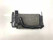 Ladeluftkühler TOYOTA YARIS (_P9_) 1.4 D-4D (NLP90_) JD127000-0620