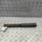 Stoßdämpfer hinten links