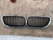 Vorderer oberer Gitter BMW 3 (E90) 318 i 9080600109