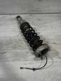 Stoßdämpfer hinten links BMW 6 (E63) M 105413