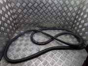 Türgummi rechts hinten Lexus RX 4 (L2)