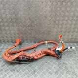 Kabelbaum LEXUS ES (_Z10_, _A10_, _H10_) 300h (AXZH10, AXZH11) 821H1-33030